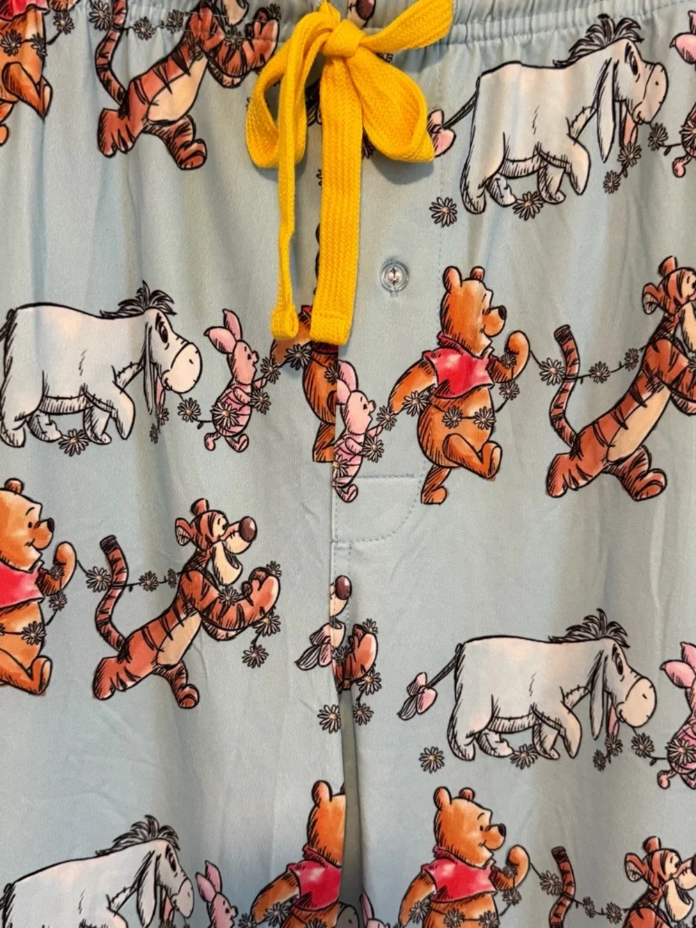 Disney Winnie the Pooh Light Blue Pajama Pants with Yellow Drawstring - Picture 3 of 16